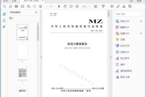 MZ/T 156—2020 低视力康复服务[高清PDF]