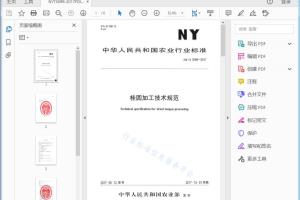 NY/T 3099—2017 桂圆加工技术规范[高清PDF]