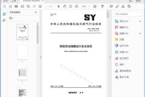 SY/T 6306—2020 代替 SY 6306—2014 钢质原油储罐运行安全规范[高清PDF]
