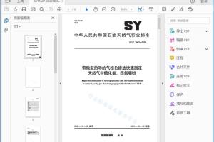 SY/T 7607—2020 带微型热导的气相色谱法快速测定天然气中硫化氢、四氢囉吩 [高清PDF]
