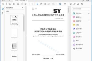 SY/T 7610—2020 石油天然气钻采设备 高压管汇的在线检测与监测技术规范[高清PDF]