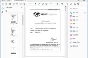 IMDRF/RPS WG/N19 FINAL:2016 Common Data Elements for Medical Device Identification - PDF (747kb)