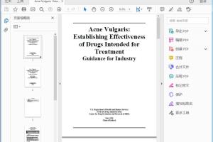 FDA Acne Vulgaris  Establishing Effectiveness of Drugs Intended for Treatment