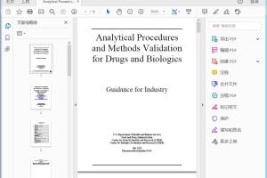 FDA Analytical Procedures and Methods Validation for Drugs and Biologics