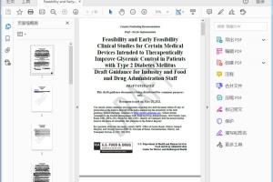 FDA Certain Medical Devices Intended to Therapeutically Improve Glycemic Control in Patients with Type 2 Diabetes Mellitus Draft
