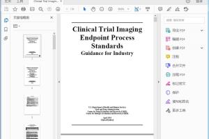 FDA Clinical Trial Imaging Endpoint Process Standards Guidance for Industry