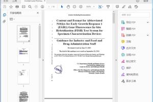 FDA Content and Format for Abbreviated 510(k)s for Early Growth Response 1 (EGR1) Gene Fluorescence In-Situ Hybridization (FISH) Test System for Specimen Characterization Devices