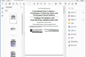 FDA Conventional Foley Catheters - Performance Criteria for Safety and Performance Based Pathway