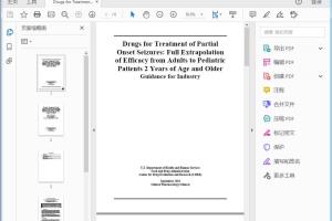 FDA Drugs for Treatment of Partial Onset Seizures Full Extrapolation of Efficacy from Adults to Pediatric Patients 2 Years of Age and Older