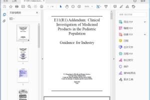 FDA E11(R1) Addendum Clinical Investigation of Medicinal Products in the Pediatric Population