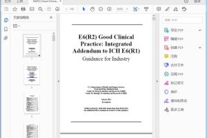 FDA E6(R2) Good Clinical Practice Integrated Addendum to ICH E6(R1)