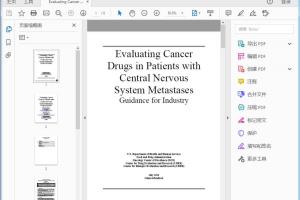FDA Evaluating Cancer Drugs in Patients with Central Nervous System Metastases  Guidance for Industry